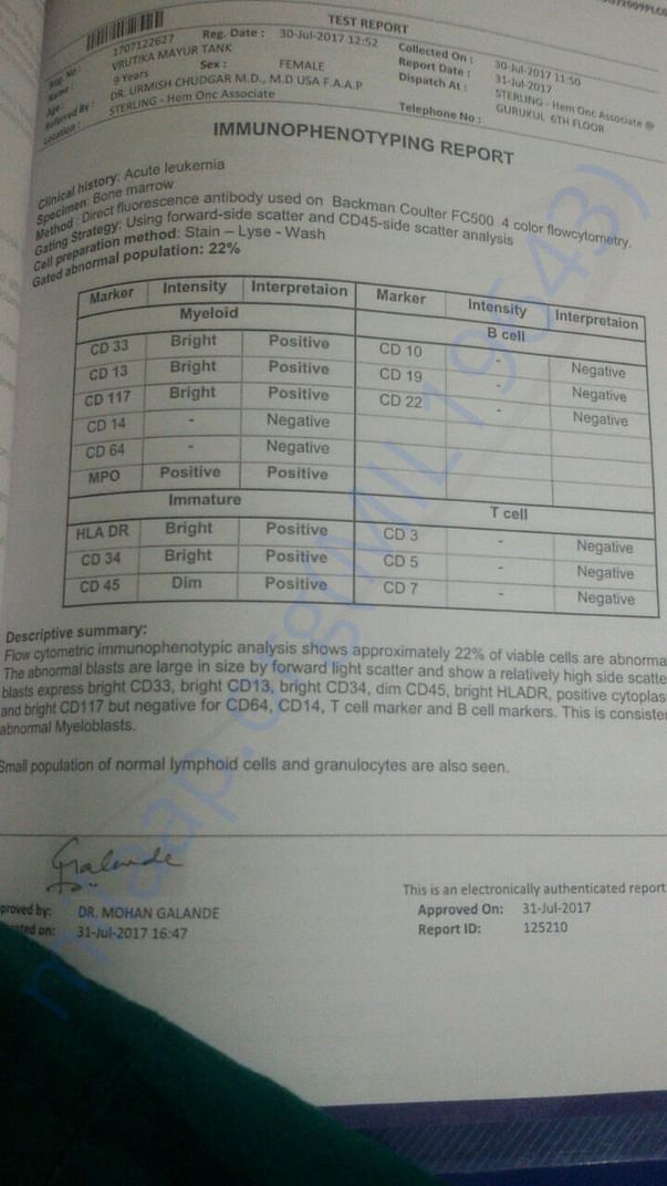 Test report 03