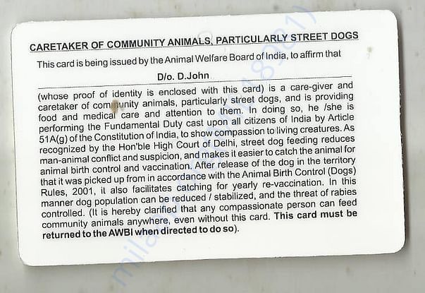 dog feeder card reverse side
